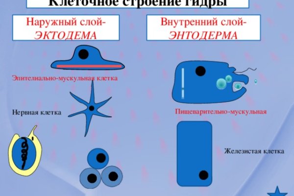 Какой кракен сейчас работает