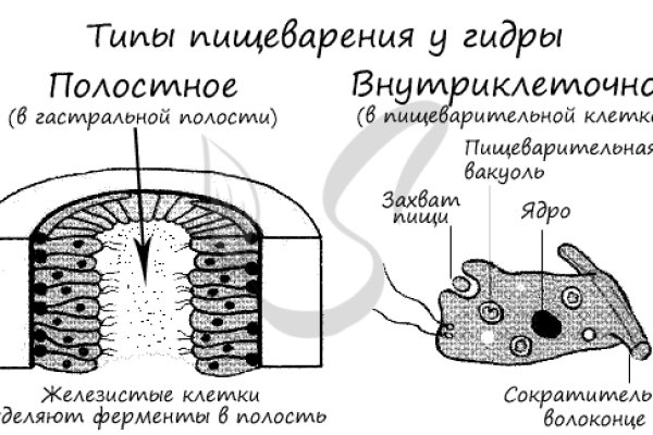 Каталог онион сайтов