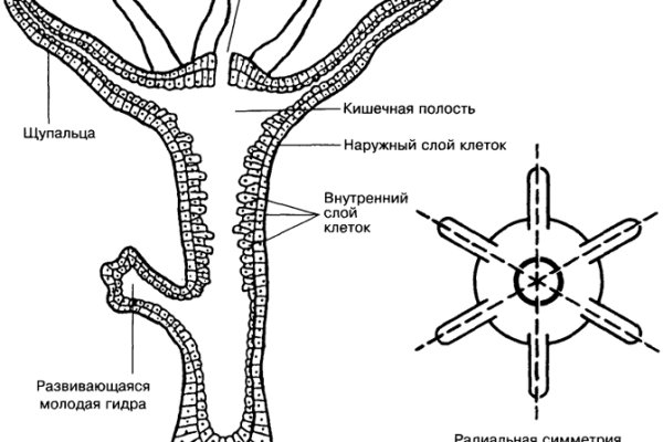 Кракен kr2link co