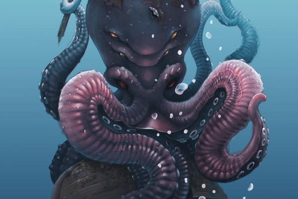 Kraken 14at